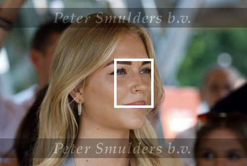 Amsterdam 13 juli 2025
Presentatie boek Dave Roelvink bij restaurant de Bosbaan . Aanwezig oa zijn vriendin Marijn Kuipers vader Dries Roelvink Honoria Roelvink Donny Roelvink en zijn moeder Lucienne Kenter.