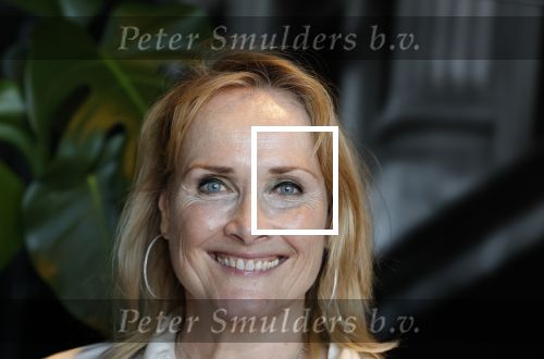 Scheveningen 30 juni 2025
Onthulling van de Walk of Fame ter gelegenheid van 35 jaar aan bijzondere musicalproducties in het AFAS Circustheater in Scheveningen. Marleen v d Loo