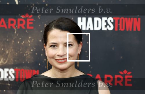 Amsterdsam 29 juni 2025
Premiere Hadestown in Carre. Nyncke Beekhuyzen