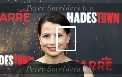 Amsterdsam 29 juni 2025
Premiere Hadestown in Carre. Nyncke Beekhuyzen