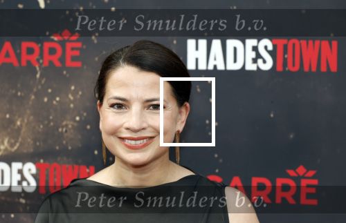 Amsterdsam 29 juni 2025
Premiere Hadestown in Carre. Nyncke Beekhuyzen