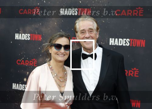 Amsterdsam 29 juni 2025
Premiere Hadestown in Carre. Peter Heerschop met zijn partner