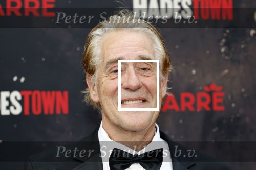 Amsterdsam 29 juni 2025
Premiere Hadestown in Carre. Peter Heerschop met zijn partner