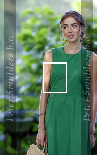 Den Haag 30 juni 2025
Jaarlijkse fotouurtje op huis ten Bosch met aanwezig Koning Willem Alexander Koningin Maxima Prinses Amalia Prinses Alexia Prinses Ariane en hondje Mambo.