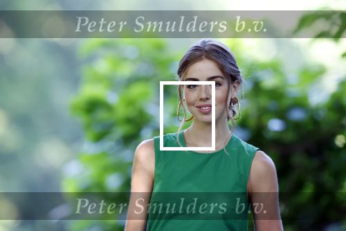 Den Haag 30 juni 2025
Jaarlijkse fotouurtje op huis ten Bosch met aanwezig Koning Willem Alexander Koningin Maxima Prinses Amalia Prinses Alexia Prinses Ariane en hondje Mambo.