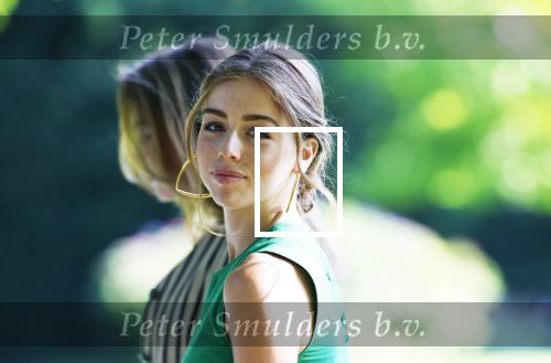 Den Haag 30 juni 2025
Jaarlijkse fotouurtje op huis ten Bosch met aanwezig Koning Willem Alexander Koningin Maxima Prinses Amalia Prinses Alexia Prinses Ariane en hondje Mambo.