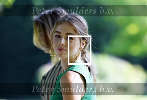 Den Haag 30 juni 2025
Jaarlijkse fotouurtje op huis ten Bosch met aanwezig Koning Willem Alexander Koningin Maxima Prinses Amalia Prinses Alexia Prinses Ariane en hondje Mambo.