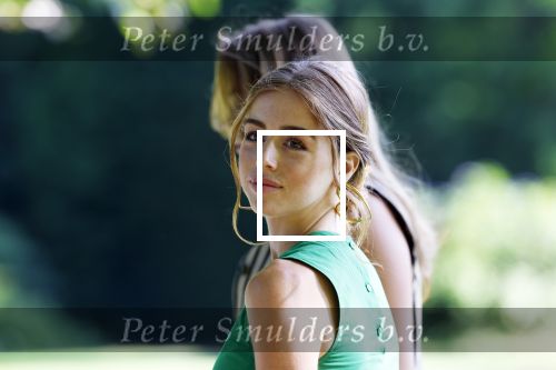 Den Haag 30 juni 2025
Jaarlijkse fotouurtje op huis ten Bosch met aanwezig Koning Willem Alexander Koningin Maxima Prinses Amalia Prinses Alexia Prinses Ariane en hondje Mambo.