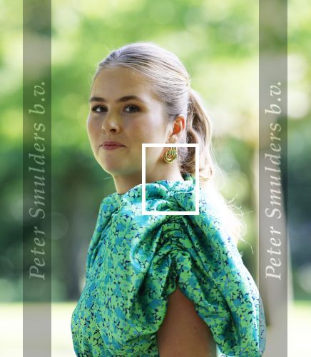 Den Haag 30 juni 2025
Jaarlijkse fotouurtje op huis ten Bosch met aanwezig Koning Willem Alexander Koningin Maxima Prinses Amalia Prinses Alexia Prinses Ariane en hondje Mambo.