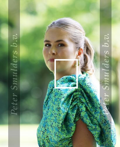 Den Haag 30 juni 2025
Jaarlijkse fotouurtje op huis ten Bosch met aanwezig Koning Willem Alexander Koningin Maxima Prinses Amalia Prinses Alexia Prinses Ariane en hondje Mambo.