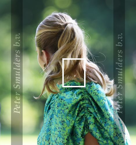 Den Haag 30 juni 2025
Jaarlijkse fotouurtje op huis ten Bosch met aanwezig Koning Willem Alexander Koningin Maxima Prinses Amalia Prinses Alexia Prinses Ariane en hondje Mambo.