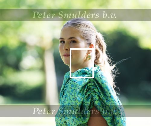 Den Haag 30 juni 2025
Jaarlijkse fotouurtje op huis ten Bosch met aanwezig Koning Willem Alexander Koningin Maxima Prinses Amalia Prinses Alexia Prinses Ariane en hondje Mambo.