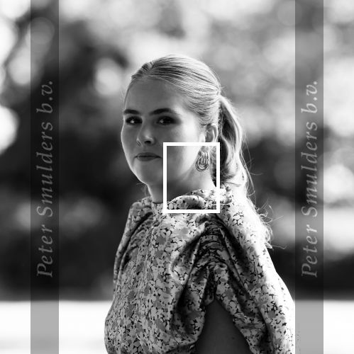 Den Haag 30 juni 2025
Jaarlijkse fotouurtje op huis ten Bosch met aanwezig Koning Willem Alexander Koningin Maxima Prinses Amalia Prinses Alexia Prinses Ariane en hondje Mambo.