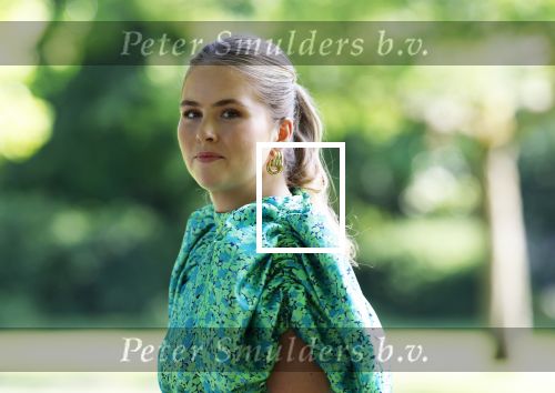 Den Haag 30 juni 2025
Jaarlijkse fotouurtje op huis ten Bosch met aanwezig Koning Willem Alexander Koningin Maxima Prinses Amalia Prinses Alexia Prinses Ariane en hondje Mambo.