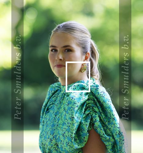 Den Haag 30 juni 2025
Jaarlijkse fotouurtje op huis ten Bosch met aanwezig Koning Willem Alexander Koningin Maxima Prinses Amalia Prinses Alexia Prinses Ariane en hondje Mambo.