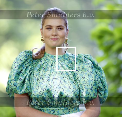 Den Haag 30 juni 2025
Jaarlijkse fotouurtje op huis ten Bosch met aanwezig Koning Willem Alexander Koningin Maxima Prinses Amalia Prinses Alexia Prinses Ariane en hondje Mambo.