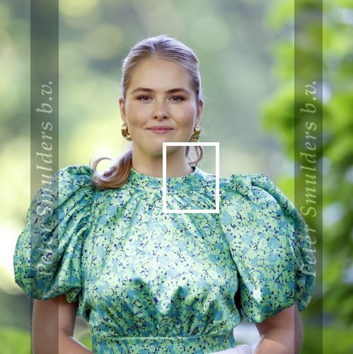 Den Haag 30 juni 2025
Jaarlijkse fotouurtje op huis ten Bosch met aanwezig Koning Willem Alexander Koningin Maxima Prinses Amalia Prinses Alexia Prinses Ariane en hondje Mambo.