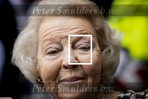 Den Haag 5 juli 2025
Hare Koninklijke Hoogheid Prinses Beatrix der Nederlanden heeft op zaterdagmiddag 5 juli het 60-jarig jubileum van de Stichting Paardrijden voor Gehandicapten (SPG) op de Madurodam Manege in Den Haag bijgewoond.