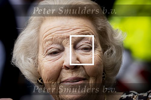 Den Haag 5 juli 2025
Hare Koninklijke Hoogheid Prinses Beatrix der Nederlanden heeft op zaterdagmiddag 5 juli het 60-jarig jubileum van de Stichting Paardrijden voor Gehandicapten (SPG) op de Madurodam Manege in Den Haag bijgewoond.