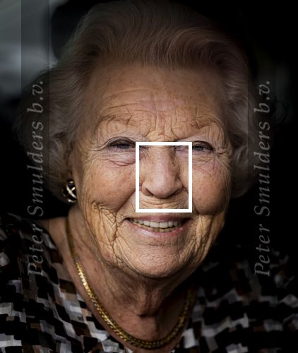 Den Haag 5 juli 2025
Hare Koninklijke Hoogheid Prinses Beatrix der Nederlanden heeft op zaterdagmiddag 5 juli het 60-jarig jubileum van de Stichting Paardrijden voor Gehandicapten (SPG) op de Madurodam Manege in Den Haag bijgewoond.