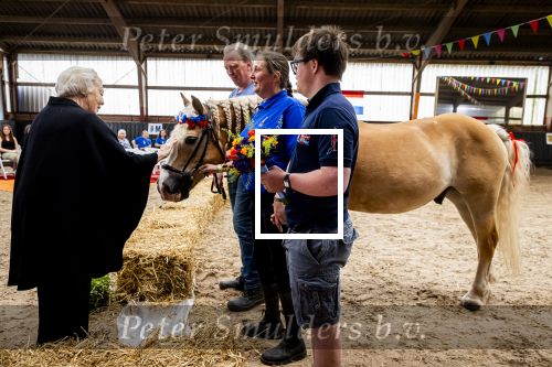 Den Haag 5 juli 2025
Hare Koninklijke Hoogheid Prinses Beatrix der Nederlanden heeft op zaterdagmiddag 5 juli het 60-jarig jubileum van de Stichting Paardrijden voor Gehandicapten (SPG) op de Madurodam Manege in Den Haag bijgewoond.