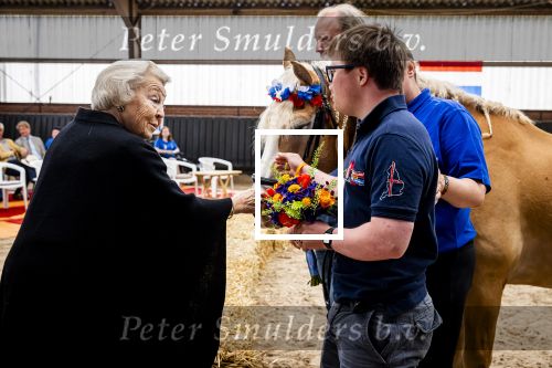 Den Haag 5 juli 2025
Hare Koninklijke Hoogheid Prinses Beatrix der Nederlanden heeft op zaterdagmiddag 5 juli het 60-jarig jubileum van de Stichting Paardrijden voor Gehandicapten (SPG) op de Madurodam Manege in Den Haag bijgewoond.