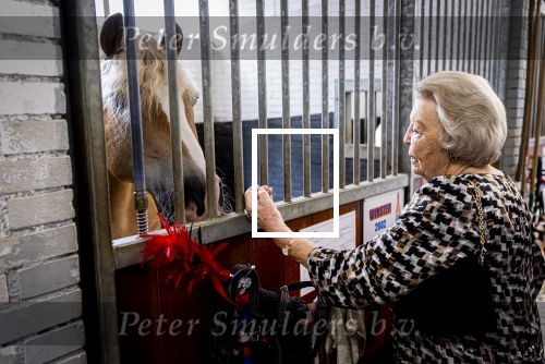 Den Haag 5 juli 2025
Hare Koninklijke Hoogheid Prinses Beatrix der Nederlanden heeft op zaterdagmiddag 5 juli het 60-jarig jubileum van de Stichting Paardrijden voor Gehandicapten (SPG) op de Madurodam Manege in Den Haag bijgewoond.