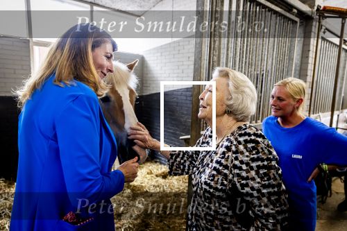 Den Haag 5 juli 2025
Hare Koninklijke Hoogheid Prinses Beatrix der Nederlanden heeft op zaterdagmiddag 5 juli het 60-jarig jubileum van de Stichting Paardrijden voor Gehandicapten (SPG) op de Madurodam Manege in Den Haag bijgewoond.