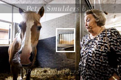 Den Haag 5 juli 2025
Hare Koninklijke Hoogheid Prinses Beatrix der Nederlanden heeft op zaterdagmiddag 5 juli het 60-jarig jubileum van de Stichting Paardrijden voor Gehandicapten (SPG) op de Madurodam Manege in Den Haag bijgewoond.