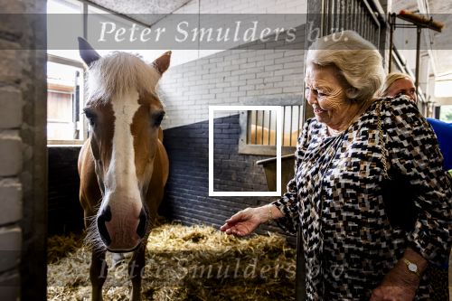 Den Haag 5 juli 2025
Hare Koninklijke Hoogheid Prinses Beatrix der Nederlanden heeft op zaterdagmiddag 5 juli het 60-jarig jubileum van de Stichting Paardrijden voor Gehandicapten (SPG) op de Madurodam Manege in Den Haag bijgewoond.