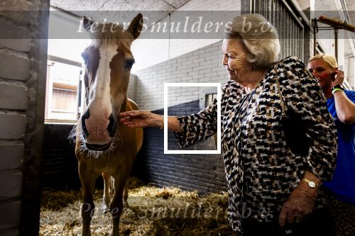 Den Haag 5 juli 2025
Hare Koninklijke Hoogheid Prinses Beatrix der Nederlanden heeft op zaterdagmiddag 5 juli het 60-jarig jubileum van de Stichting Paardrijden voor Gehandicapten (SPG) op de Madurodam Manege in Den Haag bijgewoond.