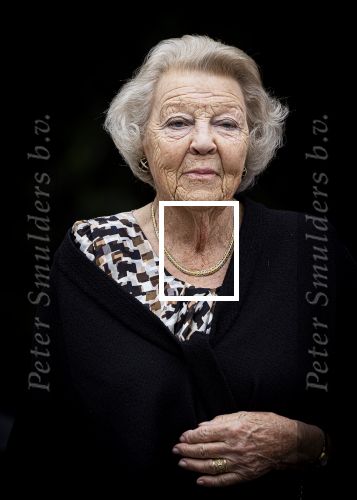 Den Haag 5 juli 2025
Hare Koninklijke Hoogheid Prinses Beatrix der Nederlanden heeft op zaterdagmiddag 5 juli het 60-jarig jubileum van de Stichting Paardrijden voor Gehandicapten (SPG) op de Madurodam Manege in Den Haag bijgewoond.