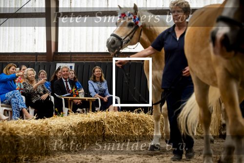 Den Haag 5 juli 2025
Hare Koninklijke Hoogheid Prinses Beatrix der Nederlanden heeft op zaterdagmiddag 5 juli het 60-jarig jubileum van de Stichting Paardrijden voor Gehandicapten (SPG) op de Madurodam Manege in Den Haag bijgewoond.