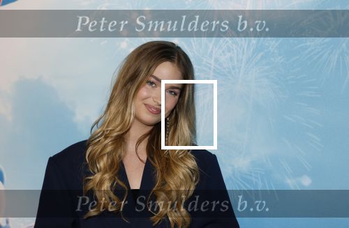 Leidschendam 6 juli 2025
Premiere Smurfen film bij Kinepolis . Aanwezig oa van de stemmencast Roxy Dekker Luuk v Leeuwen Julia Tan en Thorn de Vries .