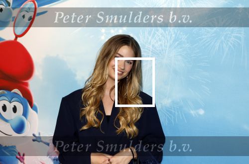 Leidschendam 6 juli 2025
Premiere Smurfen film bij Kinepolis . Aanwezig oa van de stemmencast Roxy Dekker Luuk v Leeuwen Julia Tan en Thorn de Vries .