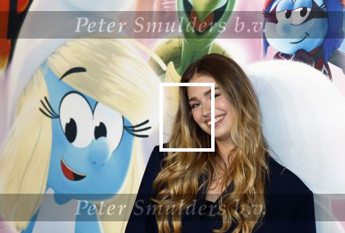 Leidschendam 6 juli 2025
Premiere Smurfen film bij Kinepolis . Aanwezig oa van de stemmencast Roxy Dekker Luuk v Leeuwen Julia Tan en Thorn de Vries .