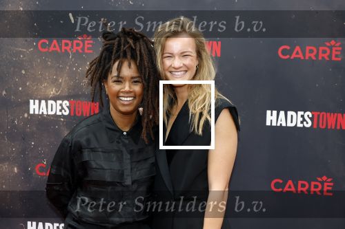 Amsterdsam 29 juni 2025
Premiere Hadestown in Carre. Shary-An Nivillac met haar partner Nena