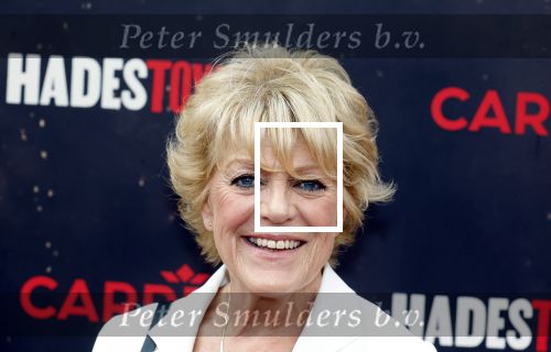 Amsterdsam 29 juni 2025
Premiere Hadestown in Carre. Simone Kleinsma kwam met een kennis
