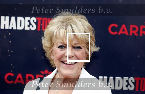 Amsterdsam 29 juni 2025
Premiere Hadestown in Carre. Simone Kleinsma kwam met een kennis