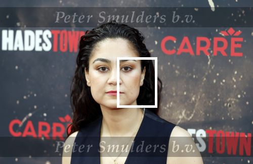 Amsterdsam 29 juni 2025
Premiere Hadestown in Carre. Soumaya Ahouaoui