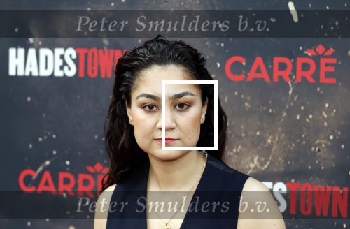 Amsterdsam 29 juni 2025
Premiere Hadestown in Carre. Soumaya Ahouaoui