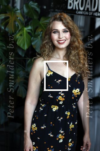 Scheveningen 30 juni 2025
Onthulling van de Walk of Fame ter gelegenheid van 35 jaar aan bijzondere musicalproducties in het AFAS Circustheater in Scheveningen. 
Tessa Sunniva v Tol
