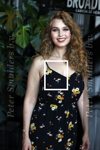 Scheveningen 30 juni 2025
Onthulling van de Walk of Fame ter gelegenheid van 35 jaar aan bijzondere musicalproducties in het AFAS Circustheater in Scheveningen. 
Tessa Sunniva v Tol