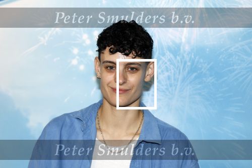 Leidschendam 6 juli 2025
Premiere Smurfen film bij Kinepolis . Aanwezig oa van de stemmencast Roxy Dekker Luuk v Leeuwen Julia Tan en Thorn de Vries .