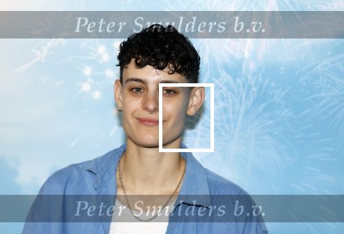 Leidschendam 6 juli 2025
Premiere Smurfen film bij Kinepolis . Aanwezig oa van de stemmencast Roxy Dekker Luuk v Leeuwen Julia Tan en Thorn de Vries .