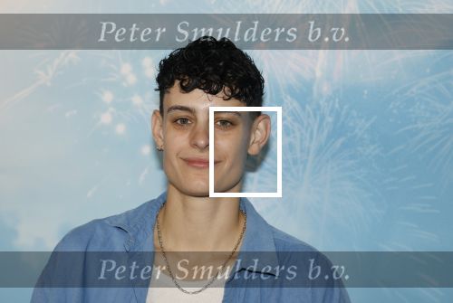 Leidschendam 6 juli 2025
Premiere Smurfen film bij Kinepolis . Aanwezig oa van de stemmencast Roxy Dekker Luuk v Leeuwen Julia Tan en Thorn de Vries .