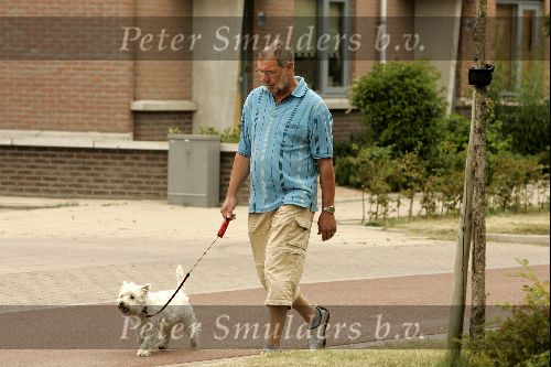 Amsterdam 6augustus 2004
Nico Zwinkels wandelend met zijn hondje