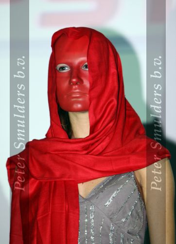 Amsterdam, 17 November 2009
Presentatie Escape van Finalisten Popstras 2009
Mystery Popstars 2009 Rood
Peter Smulders BV