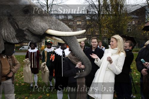 Amsterdam 16 november 2009
Presentatie Douwe egberts sinterklaas boeken. Susan Smit met olifant
Peter Smulders bv
