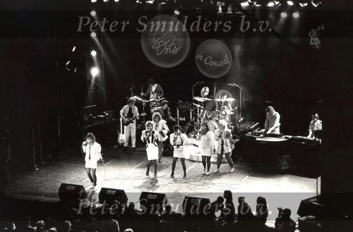 Dolly Dots
Foto Peter Smulders BV